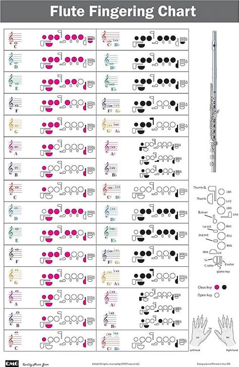 Flute Fingering Chart with Color-Coded Notes, Learn Flute Technique ...