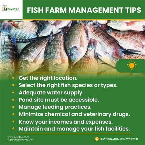 Exploring Fish Farming: Types, Significance, and Best Practices