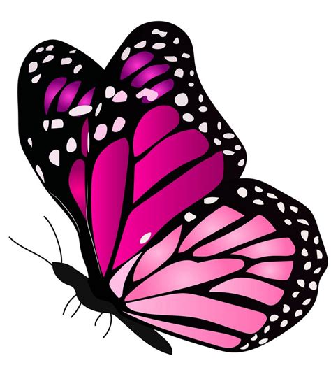 pink butterfly - Clipart World