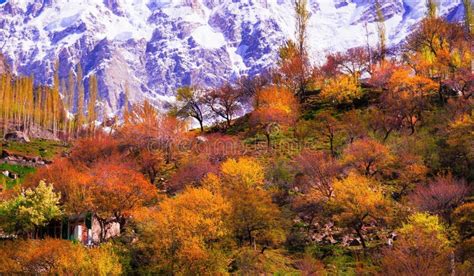 Autumn Season in Hunza Valley, Pakistan Stock Photo - Image of outdoors ...