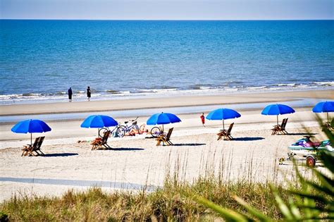 westin hilton head beach chair rental - Lavon Bolen