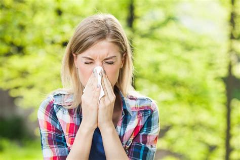 Get Allergy Testing and Stop Sneezing: Macomb Medical Clinic: Family ...