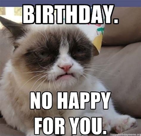 Grumpy Cat Meme Birthday