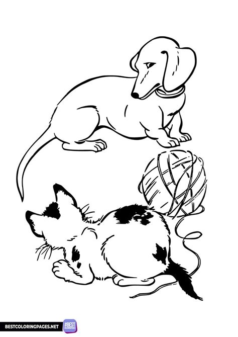 Printable cat and dog coloring pages - Free printable coloring pages