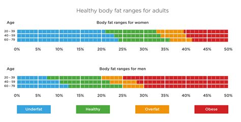 Visceral Fat- Types, Range, Risks and How to Reduce Visceral Fat