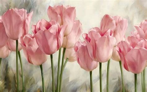 Soft pink tulips HD desktop wallpaper : Widescreen : High Definition ...