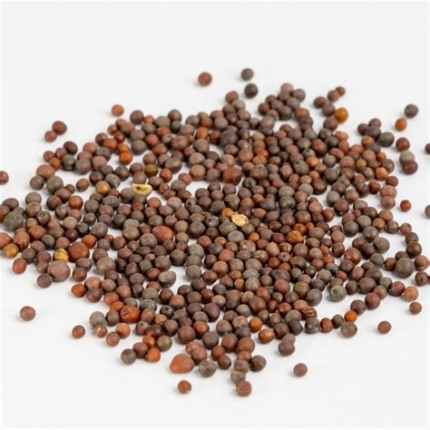 Brown Mustard Seeds 500g – Real and Raw Foods