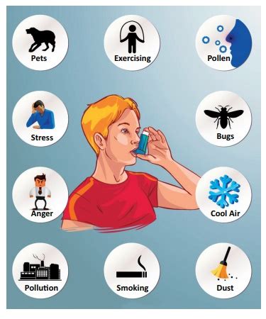 Bronchial Asthma - Definition, Causes, Signs and Symptoms, Diagnosis ...