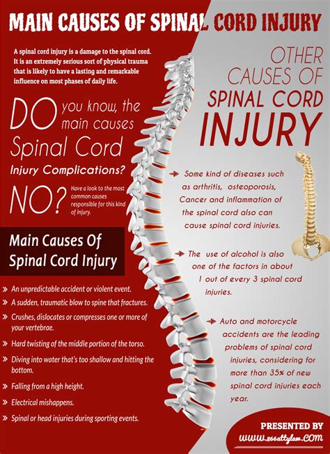 What are the main causes of spinal cord injury?