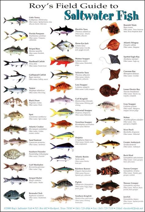 Follow this Pin to get your copy of the ultimate fishing guide and ...