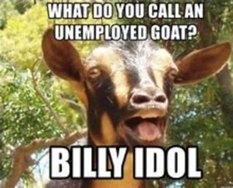 25 of the Funniest Goat Memes (So Far) | Let's Eat Cake