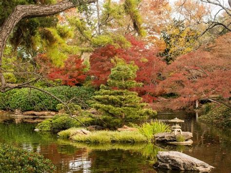 Top 4 Things to Do in Fort Worth Botanic Garden