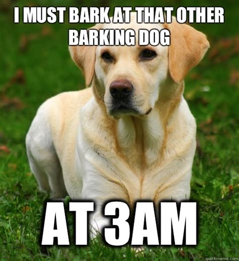 Dog Logic memes | quickmeme