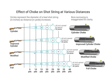 Shotgun Chokes Explained (Cylinder, Improved Cylinder,, 41% OFF