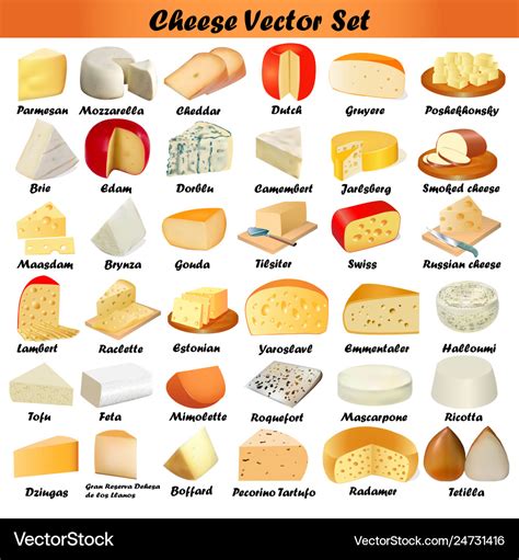 Set of different types cheese on a white Vector Image