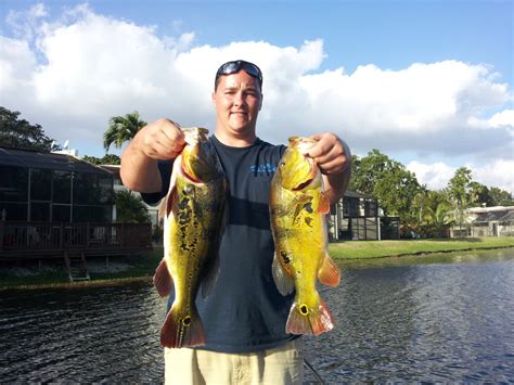 Peacock Bass Fishing with Capt. Tony - Peacock Bass Fishing in the USA ...