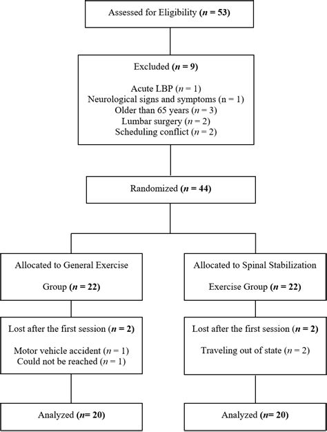 Effectiveness of Spinal Stabilization Exercises on Dynamic Balance in ...