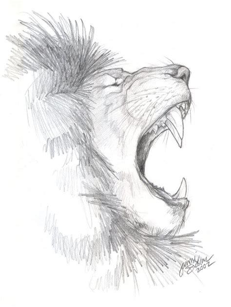 African Lion Sketch by Emryswolf on DeviantArt