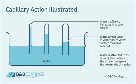 What is Capillary Action?