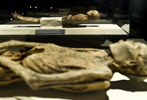 Final Days: Mummies of the World Exhibition at Bowers Museum - SoCal ...