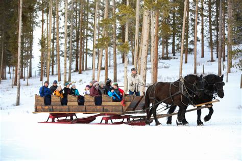 Montana Winter Activities on and around Ranch | 320 Guest Ranch