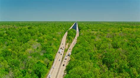 110+ Atchafalaya National Wildlife Refuge Photos Stock Photos, Pictures ...