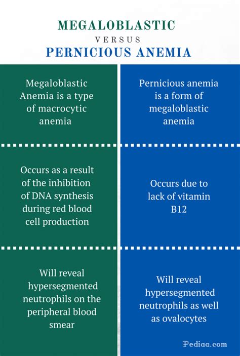 Difference Between Megaloblastic and Pernicious Anemia | Causes, Signs ...