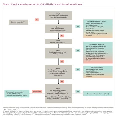 Afib With Rvr Treatment