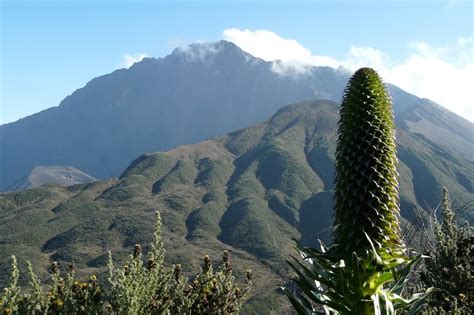 Mount Meru 3 days / 4 days - Twanga Touring - experience in the north ...