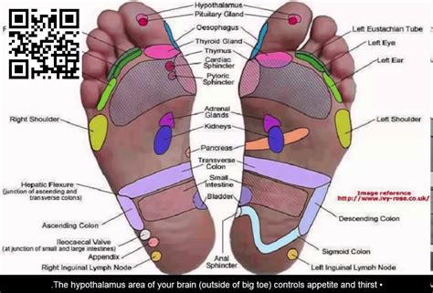 Foot Reflexology 7 Pressure Points To Reduce Stress & Bo - YouTube