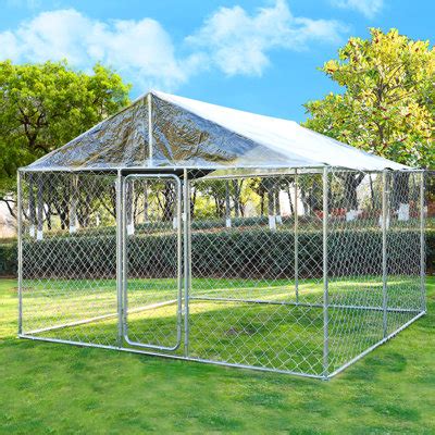 GIODIR Outdoor Large Dog Kennel With Canopy & Reviews | Wayfair