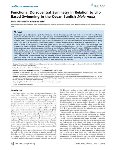 (PDF) Functional Dorsoventral Symmetry in Relation to Lift-Based ...