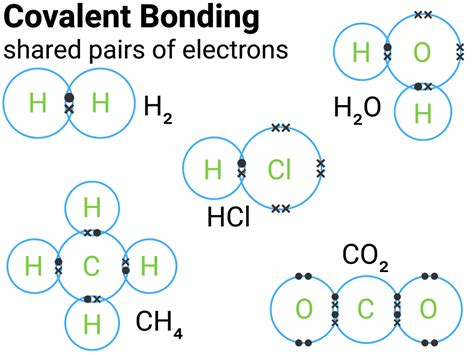 Ethene Covalent Bond Diagram