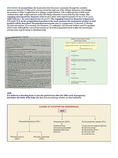 Mechanism | PDF