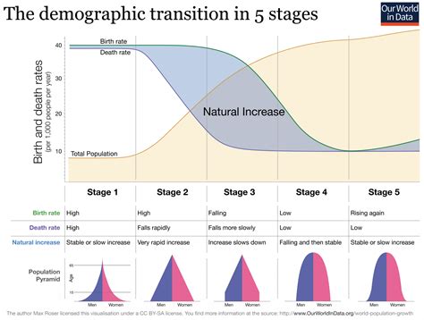 The Demographic Transition Model - Intelligent Economist