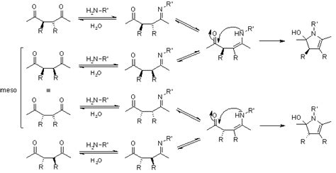 Paal-Knorr Pyrrole Synthesis