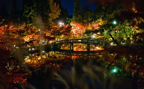 Kyoto Night Wallpapers - Top Free Kyoto Night Backgrounds - WallpaperAccess