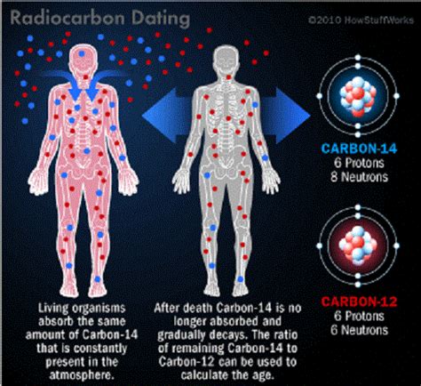 What is Carbon Dating? - Universe Today