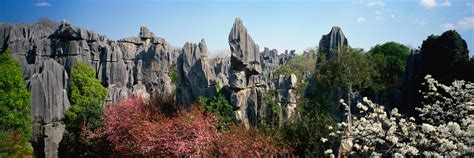 Stone Forest of Kunming - Kunming Attractions - China Top Trip