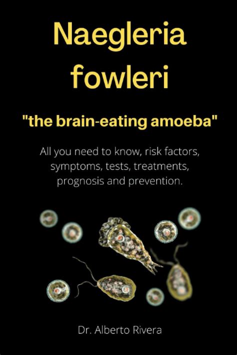 Naegleria fowleri, the brain-eating amoeba.: All you need to know, risk ...