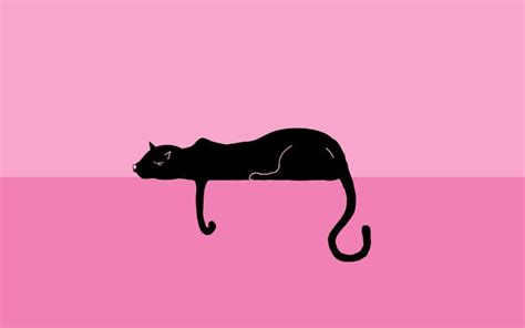 Pink Cat Wallpapers - Top Free Pink Cat Backgrounds - WallpaperAccess