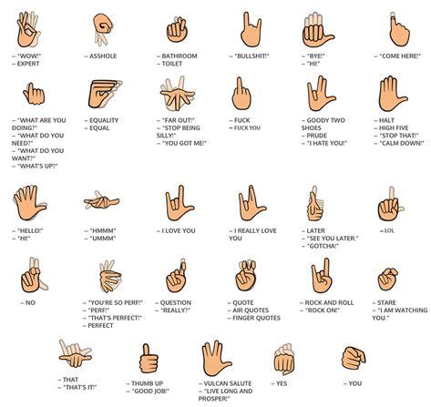 40+ Best Sign language images in 2020 | sign language, language, asl ...