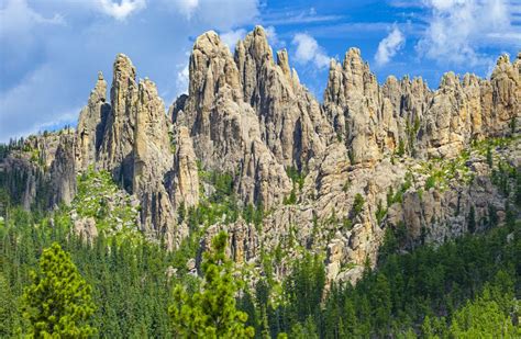 Spring Has Sprung In South Dakota's Custer State Park, A Prime ...