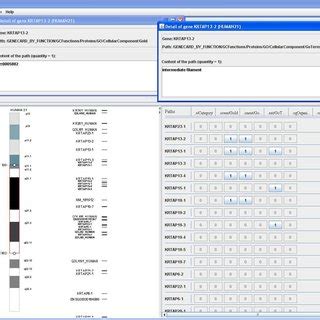 A map if human chromosome 21 showing genes. To the right of the genes ...