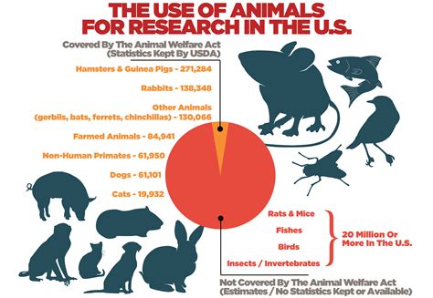 Fundamentals: Research Animals - Faunalytics