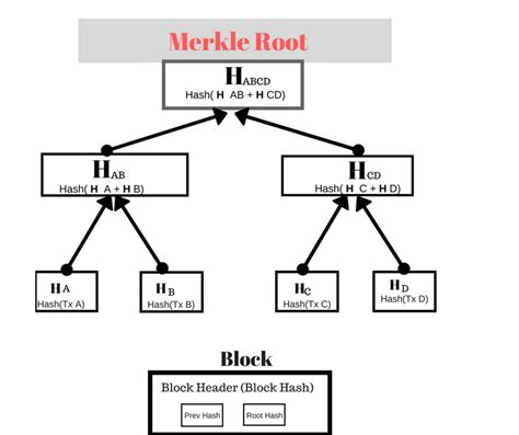 The Merkle-tree and the blockchain - Cryptotech | Binary tree, Merkle ...