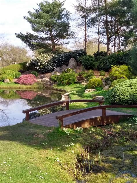 Looking at Japanese and Chinese gardens to design an English 'stroll ...