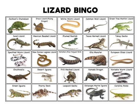 Lizard Bingo Printable | Bead lizard, Lizard, Glass lizard