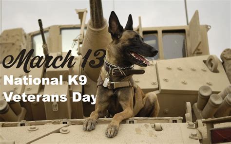 March 13 Celebrates National K9 Veterans Day - Duotech Services