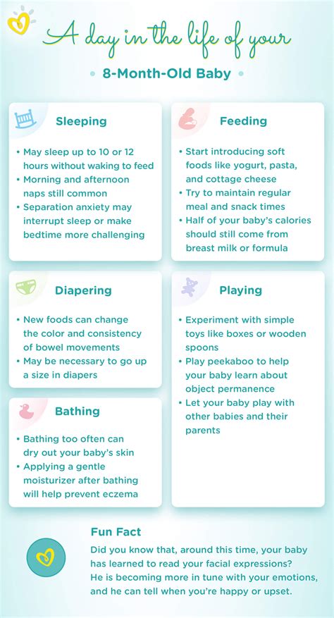 8-Month-Old Baby: Development Milestones | Pampers.com